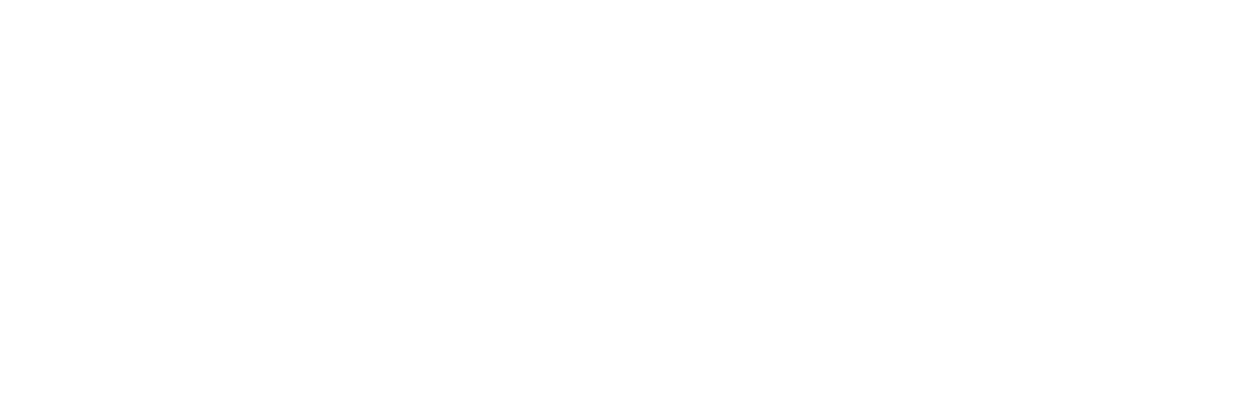 Naturalia Sintesi | Logo